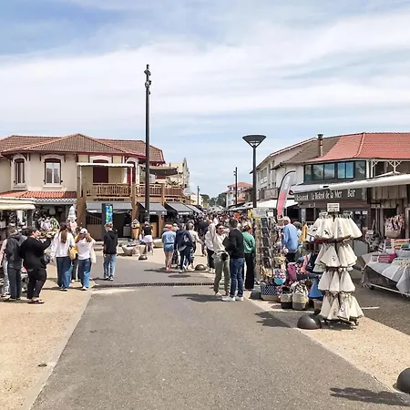 Cote Sud-3 By Interhome